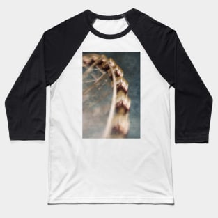 Dreamscape Baseball T-Shirt